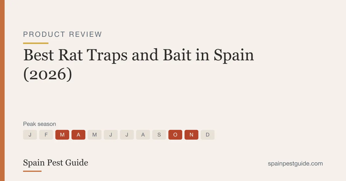 Best Rat Traps and Bait in Spain (2026) | Spain Pest Guide